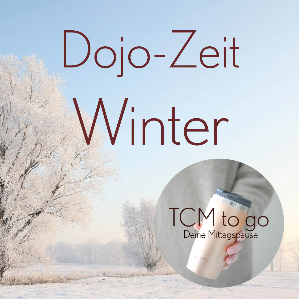 Dojo-Zeit Winter