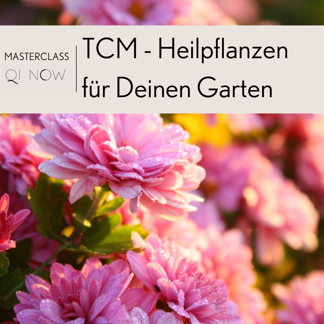 TCM-Heilpflanzen